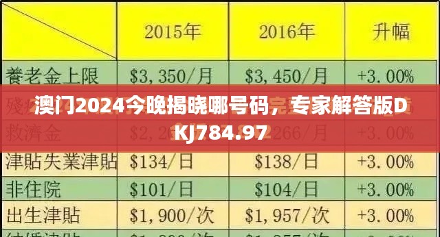 澳門2024今晚揭曉哪號碼，專家解答版DKJ784.97