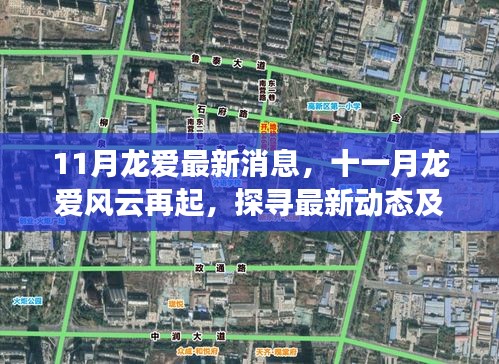 十一月龍愛風(fēng)云再起，最新動態(tài)與時(shí)代地位探尋