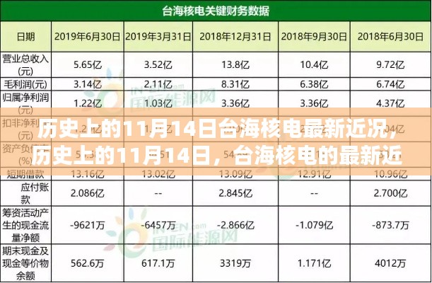 歷史上的11月14日，臺海核電的最新近況及其影響分析概覽