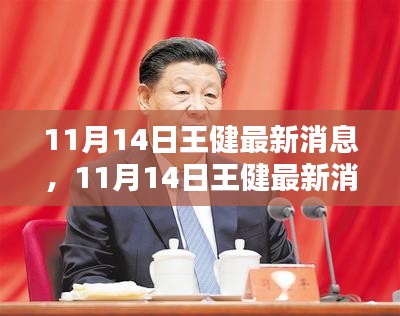 王健最新消息全面評測與介紹，11月14日更新動態(tài)揭秘！