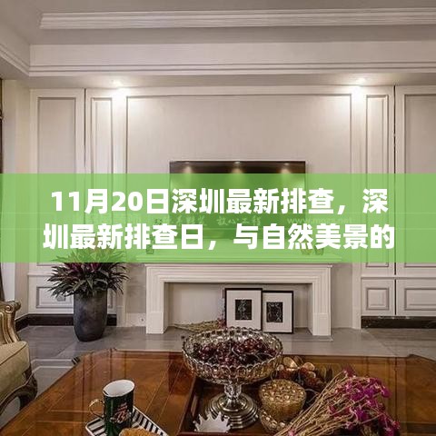 深圳最新排查日，自然美景中的內(nèi)心寧靜之旅