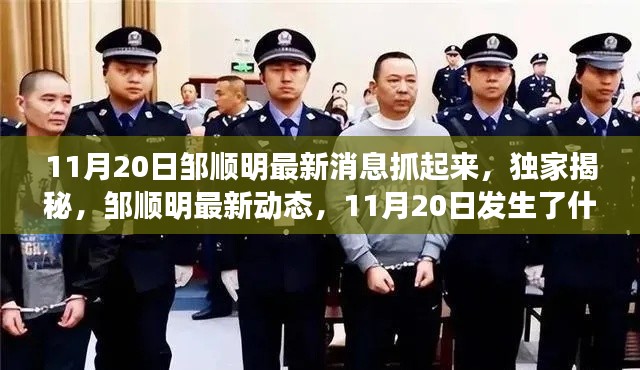 獨家揭秘，鄒順明最新動態(tài)及11月20日事件內(nèi)幕揭秘
