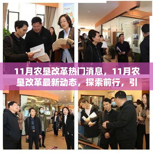 探索前行，農(nóng)墾改革最新動態(tài)引領農(nóng)業(yè)現(xiàn)代化