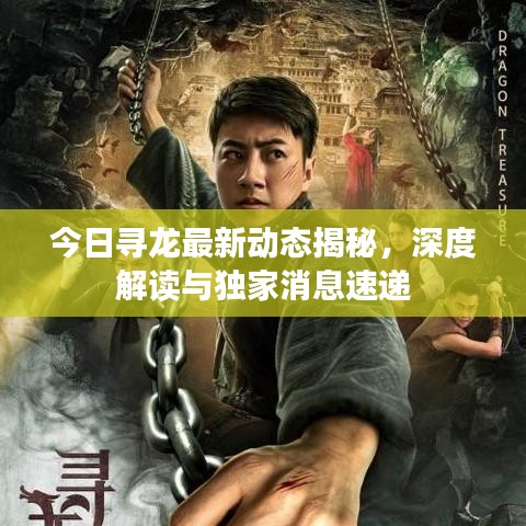 今日尋龍最新動態(tài)揭秘，深度解讀與獨家消息速遞