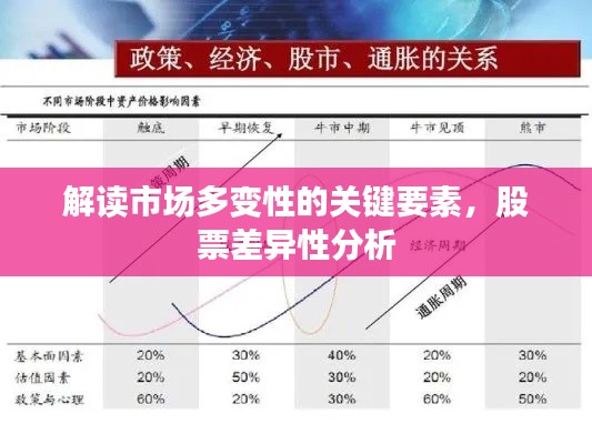 解讀市場(chǎng)多變性的關(guān)鍵要素，股票差異性分析