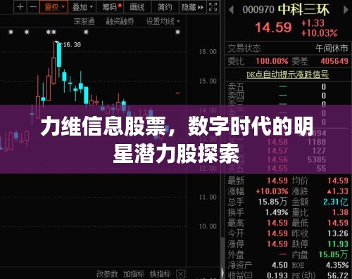 力維信息股票，數(shù)字時代的明星潛力股探索