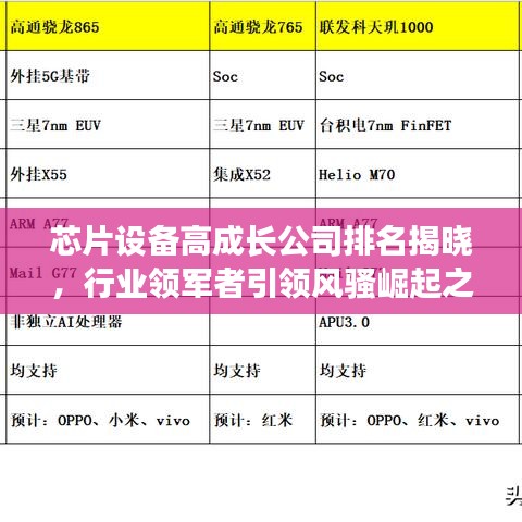 芯片設備高成長公司排名揭曉，行業(yè)領軍者引領風騷崛起之路揭秘