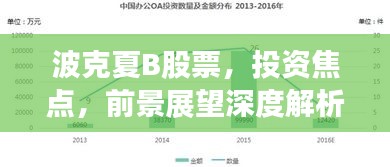 波克夏B股票，投資焦點，前景展望深度解析