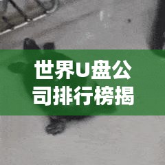 世界U盤公司排行榜揭曉，行業(yè)巨頭一覽無余！