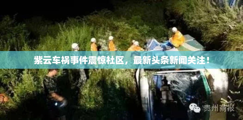 紫云車禍?zhǔn)录痼@社區(qū)，最新頭條新聞關(guān)注！