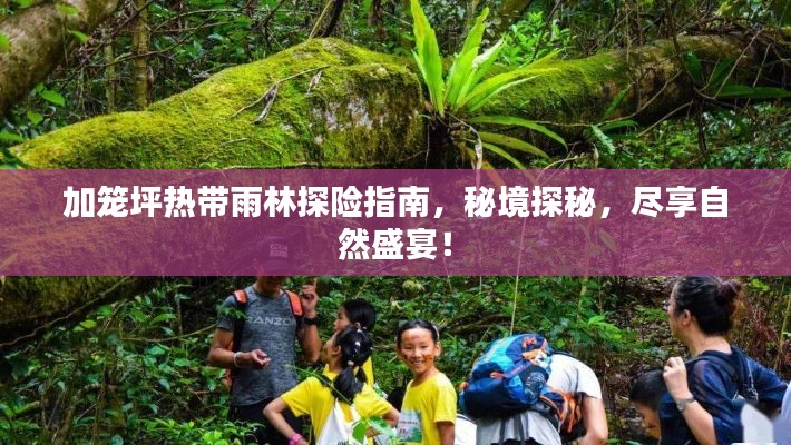 加籠坪熱帶雨林探險(xiǎn)指南，秘境探秘，盡享自然盛宴！