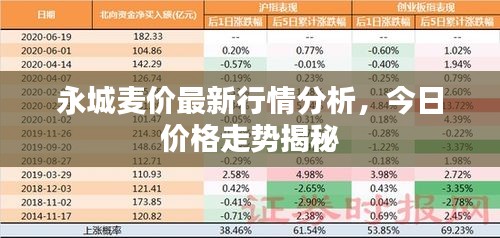 永城麥價最新行情分析，今日價格走勢揭秘