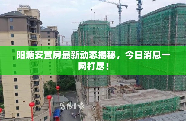 陽塘安置房最新動態(tài)揭秘，今日消息一網(wǎng)打盡！