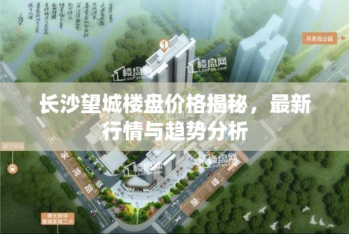 長沙望城樓盤價格揭秘，最新行情與趨勢分析