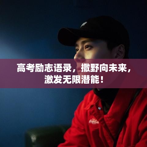 高考勵志語錄，撒野向未來，激發(fā)無限潛能！