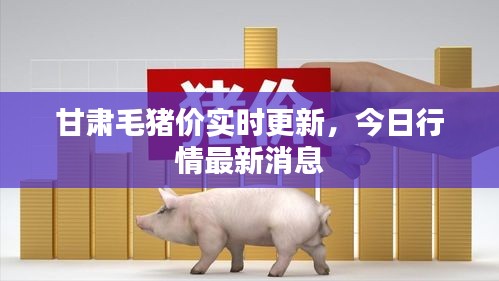 甘肅毛豬價實時更新，今日行情最新消息
