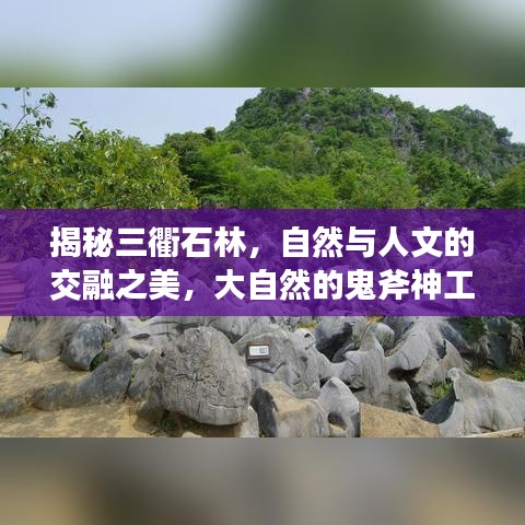 揭秘三衢石林，自然與人文的交融之美，大自然的鬼斧神工欣賞