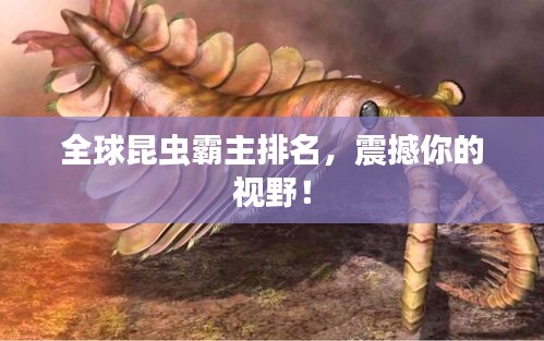 全球昆蟲霸主排名，震撼你的視野！