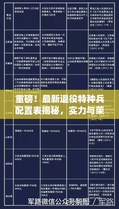 重磅！最新退役特種兵配置表揭秘，實力與榮耀并存