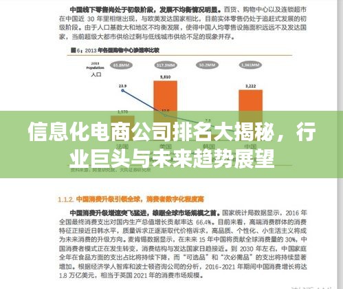 信息化電商公司排名大揭秘，行業(yè)巨頭與未來趨勢(shì)展望