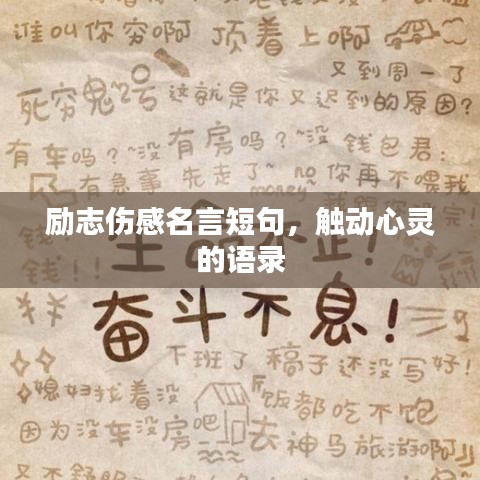 毛手毛腳