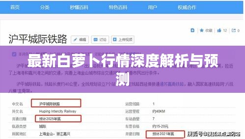 最新白蘿卜行情深度解析與預測