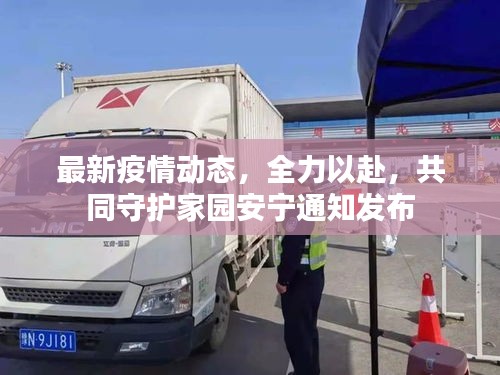 最新疫情動態(tài)，全力以赴，共同守護家園安寧通知發(fā)布
