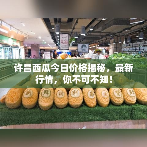 許昌西瓜今日價(jià)格揭秘，最新行情，你不可不知！