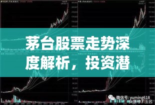 茅臺(tái)股票走勢(shì)深度解析，投資潛力與風(fēng)險(xiǎn)洞察