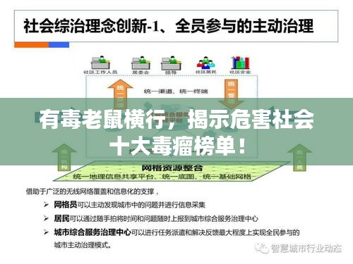 有毒老鼠橫行，揭示危害社會(huì)十大毒瘤榜單！