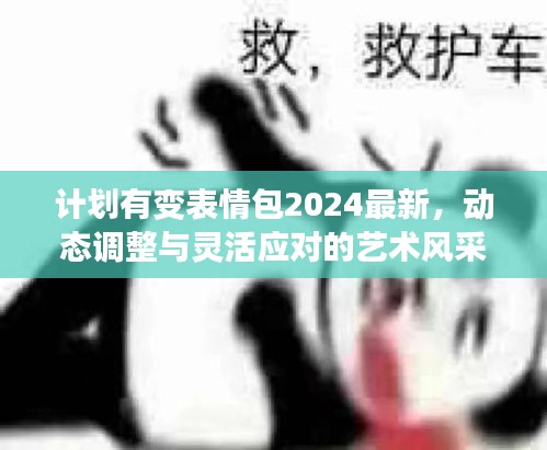 計劃有變表情包2024最新，動態(tài)調整與靈活應對的藝術風采