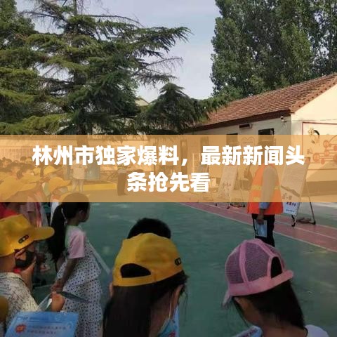 林州市獨(dú)家爆料，最新新聞?lì)^條搶先看