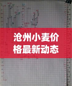 ruixuefenfei