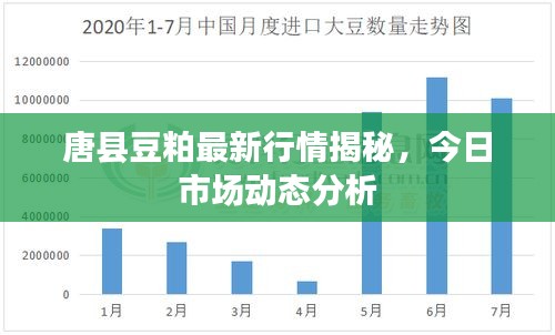唐縣豆粕最新行情揭秘，今日市場(chǎng)動(dòng)態(tài)分析