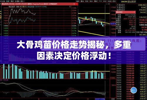 大骨雞苗價格走勢揭秘，多重因素決定價格浮動！