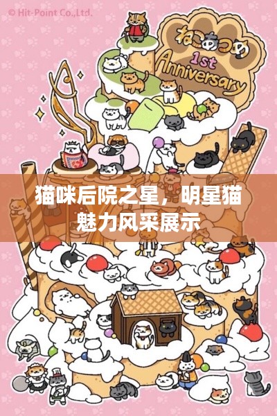 貓咪后院之星，明星貓魅力風(fēng)采展示