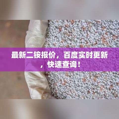 最新二銨報(bào)價(jià)，百度實(shí)時(shí)更新，快速查詢！