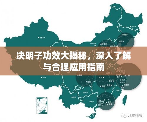 luyituifei