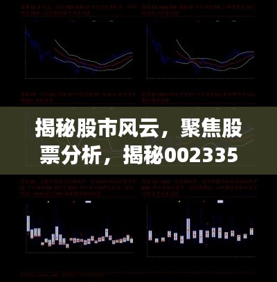 揭秘股市風(fēng)云，聚焦股票分析，揭秘002335股票動(dòng)態(tài)與前景展望
