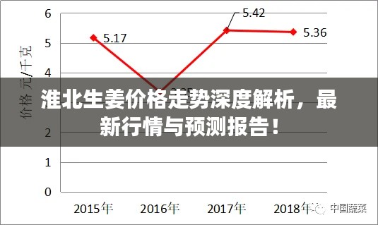 淮北生姜價(jià)格走勢深度解析，最新行情與預(yù)測報(bào)告！