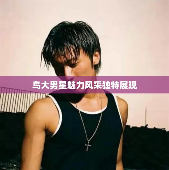 鳥大男星魅力風采獨特展現(xiàn)