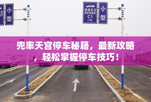 兜率天宮停車秘籍，最新攻略，輕松掌握停車技巧！