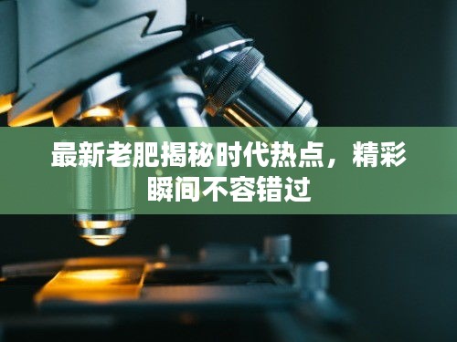 最新老肥揭秘時(shí)代熱點(diǎn)，精彩瞬間不容錯(cuò)過(guò)