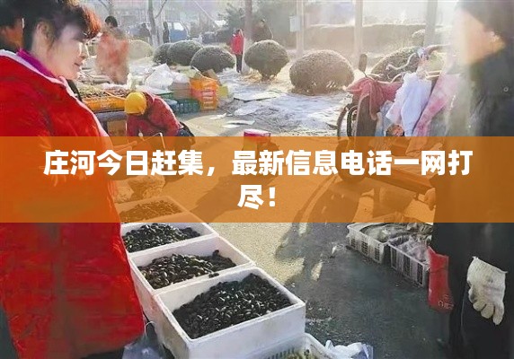莊河今日趕集，最新信息電話一網(wǎng)打盡！
