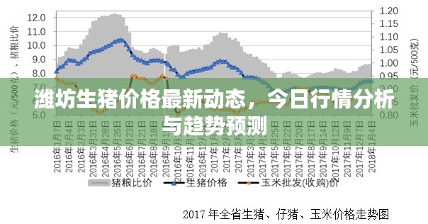 小家碧玉
